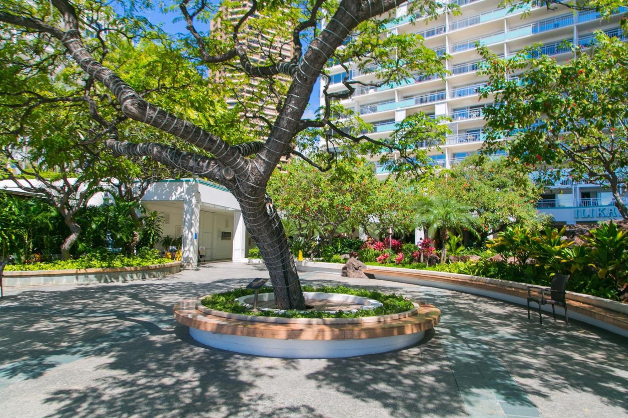 Ilikai Tower 936 Lagoon View 1Br Honolulu Kültér fotó